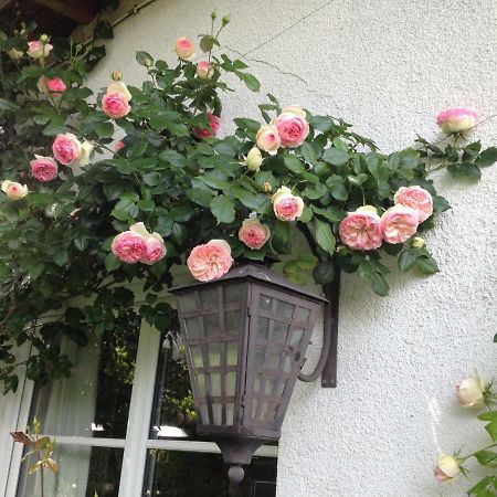 Le Petit Val Rose Villa Villennes-sur-Seine Eksteriør billede