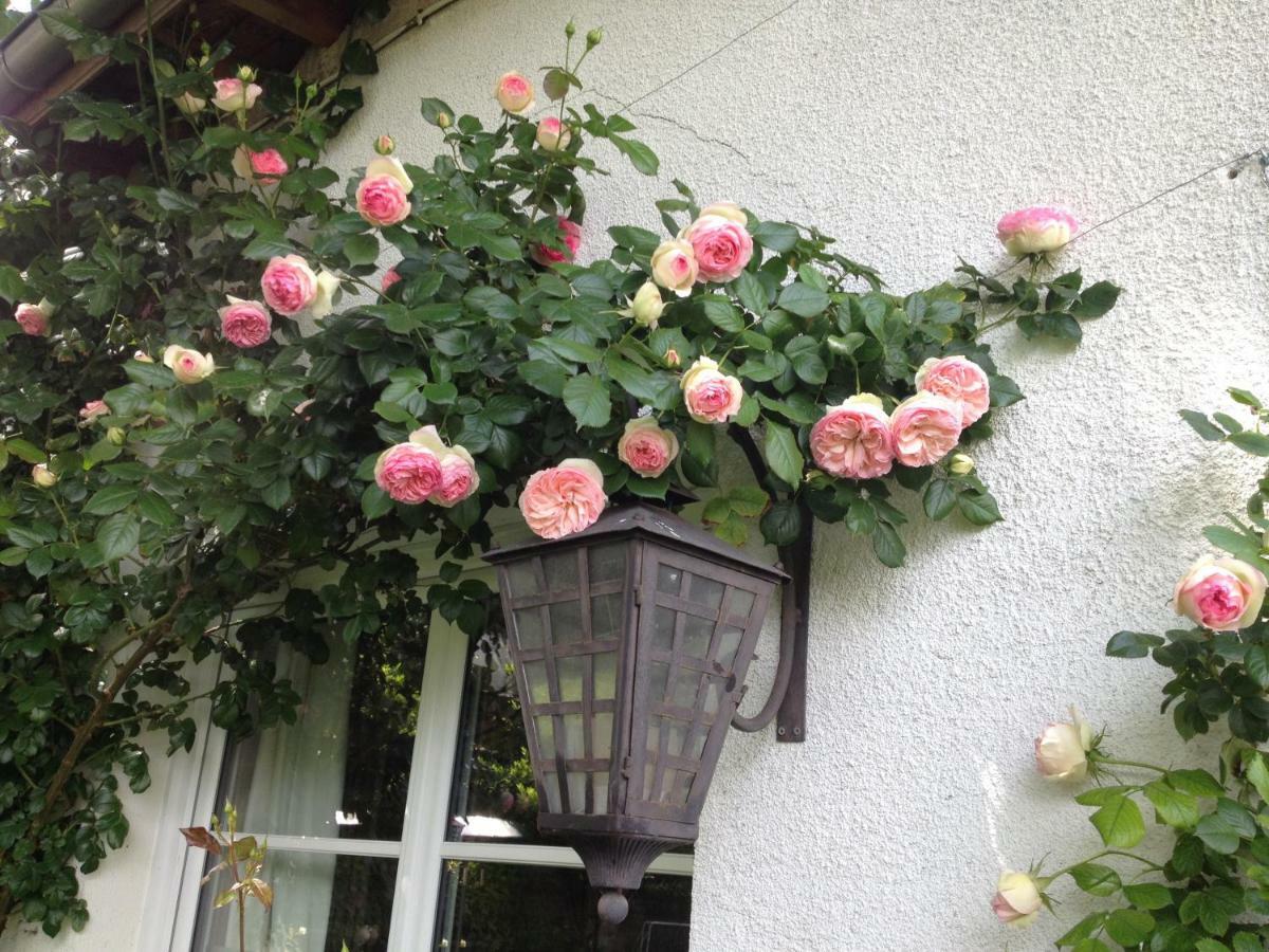 Le Petit Val Rose Villa Villennes-sur-Seine Eksteriør billede