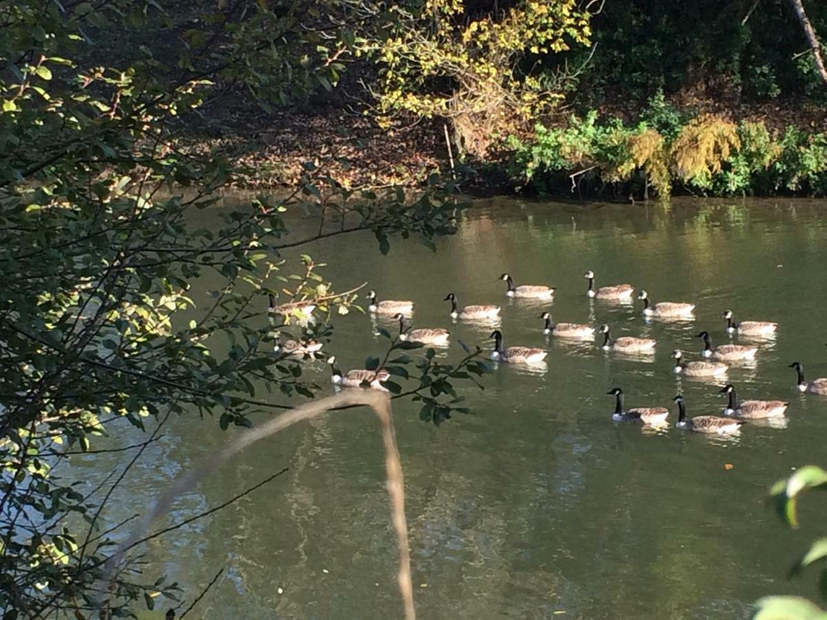 Le Petit Val Rose Villa Villennes-sur-Seine Eksteriør billede